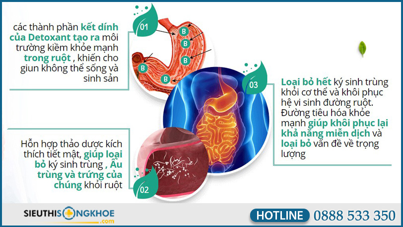 co che hoat dong vien uong diet ky sinh trung detoxant