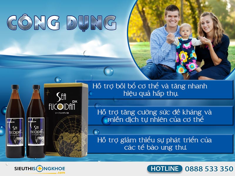 cong dung nuoc ho tro tro tri ung thu sea fucoidan dx