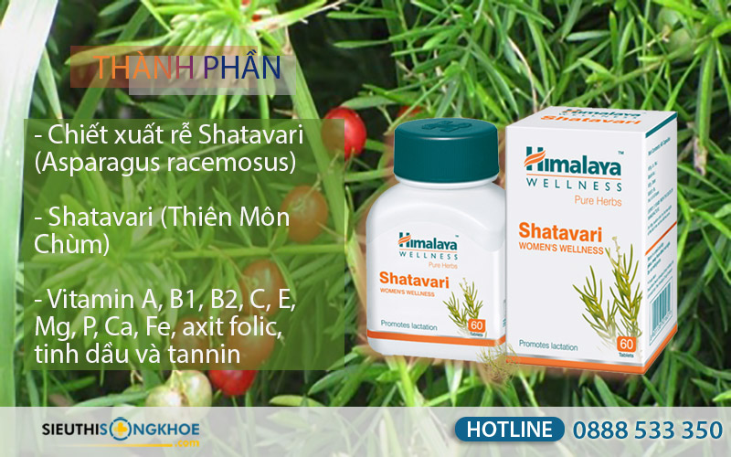 himalaya shatavari