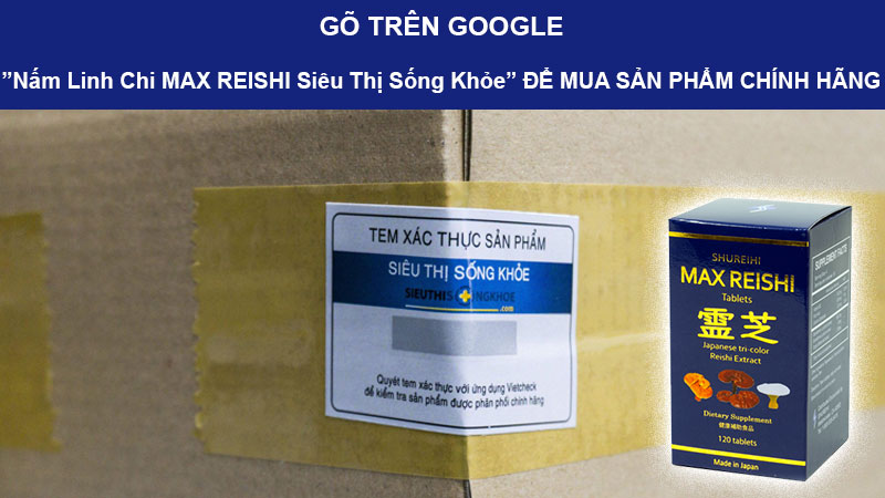 nấm linh chi nhật bản max reishi dạng viên có tốt không