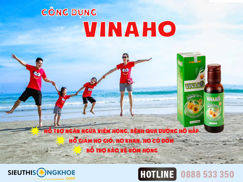 Siro Vinaho Có Tốt Không? Giá Bao Nhiêu? Mua Ở Đâu?