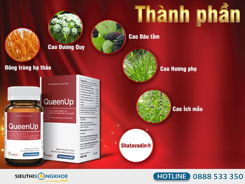 thanh phan vien tang noi tiet to nu queenup