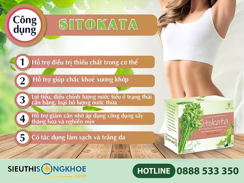 công dụng bột cần tây sitokata