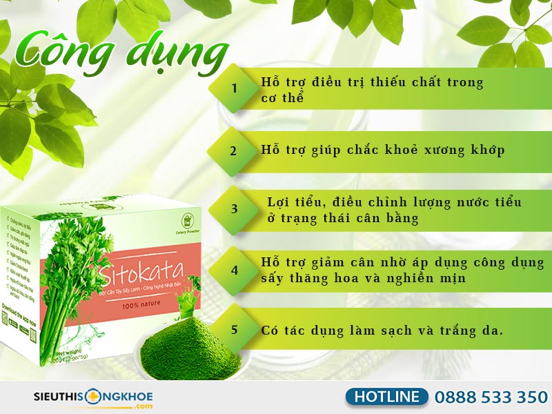 công dụng bột cần tây sitokata