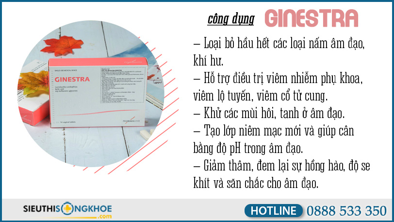 cong dung ginestra
