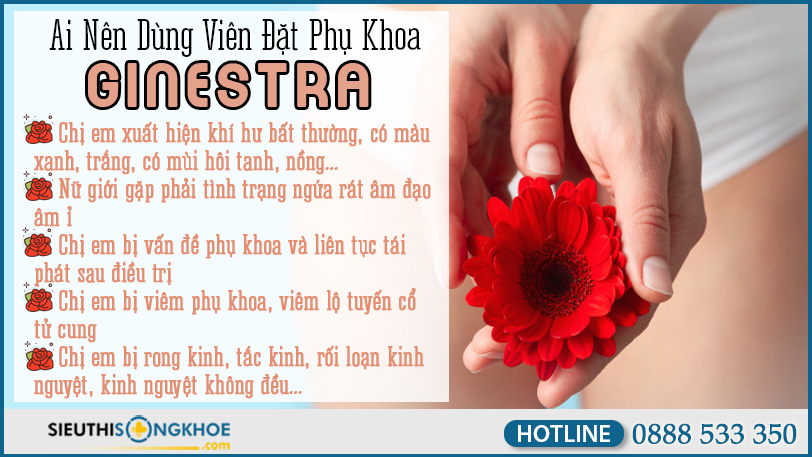 doi tuong su dung ginestra