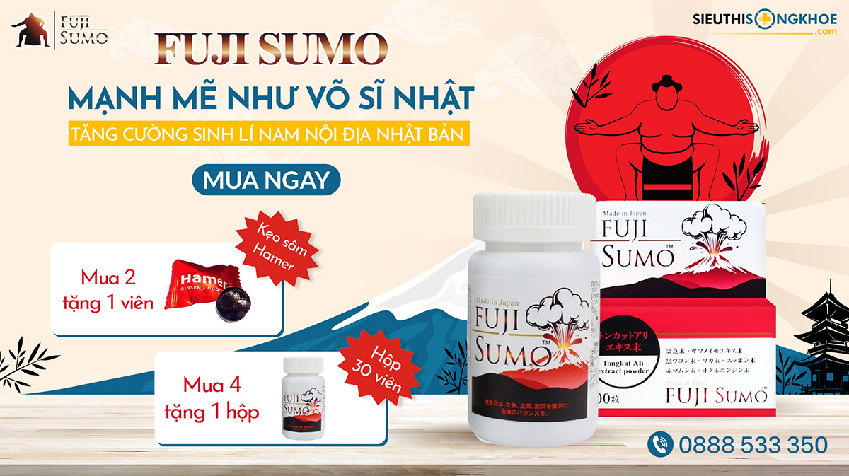 banner fuji sumo