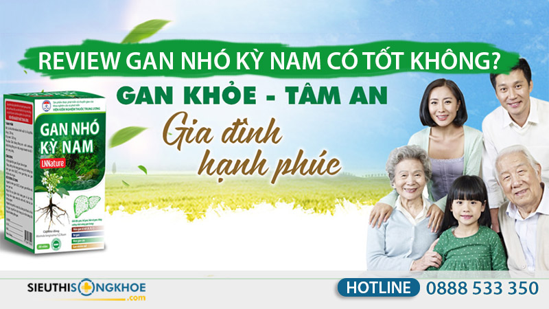 gan nhó kỳ nam có tốt không