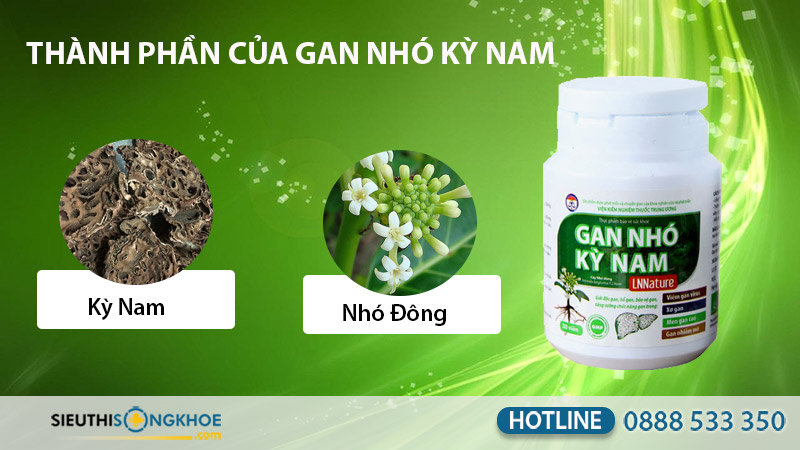 gan nhó kỳ nam có tốt không