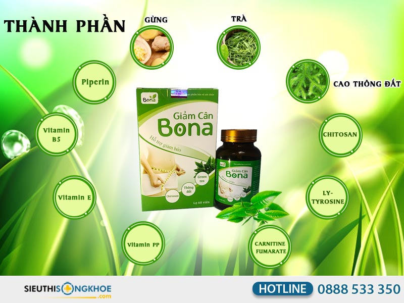 thành phần giảm cân bona