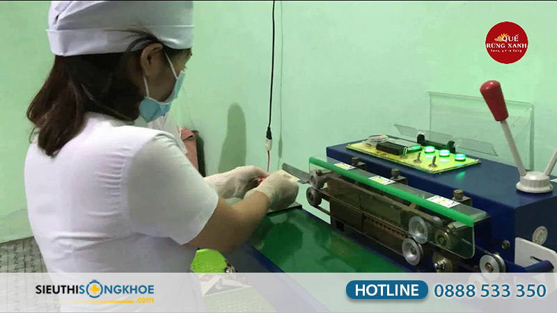 trà quế rừng xanh có tốt không