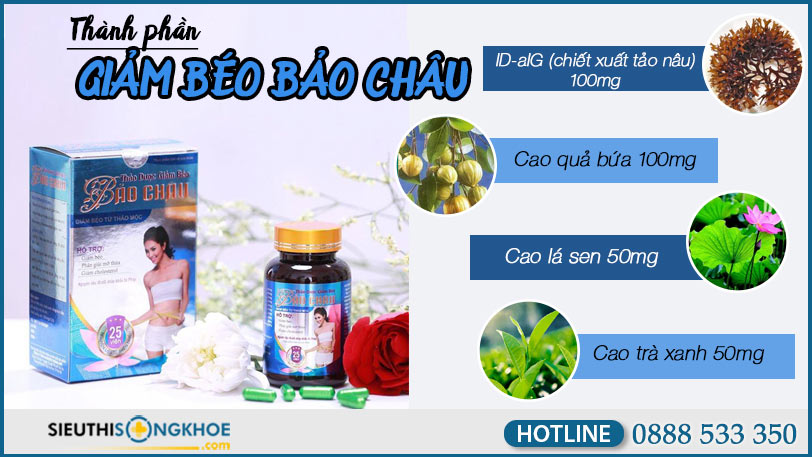 thanh-phan-giam-beo-bao-chau