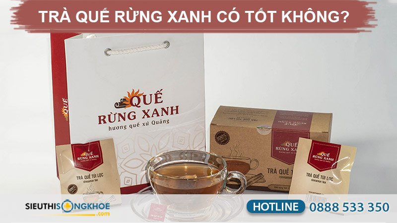 trà quế rừng xanh có tốt không