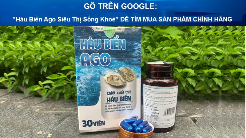 hàu biển ago có tốt không