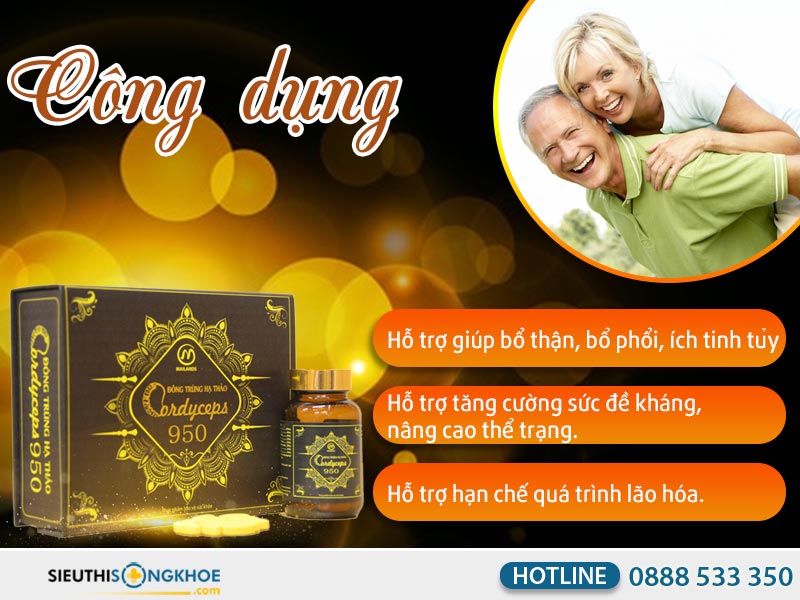 công dụng đông trùng hạ thảo cordyceps 950