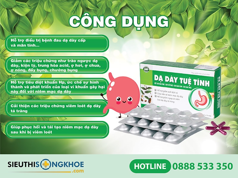 công dụng viên uống dạ dày tuệ tĩnh