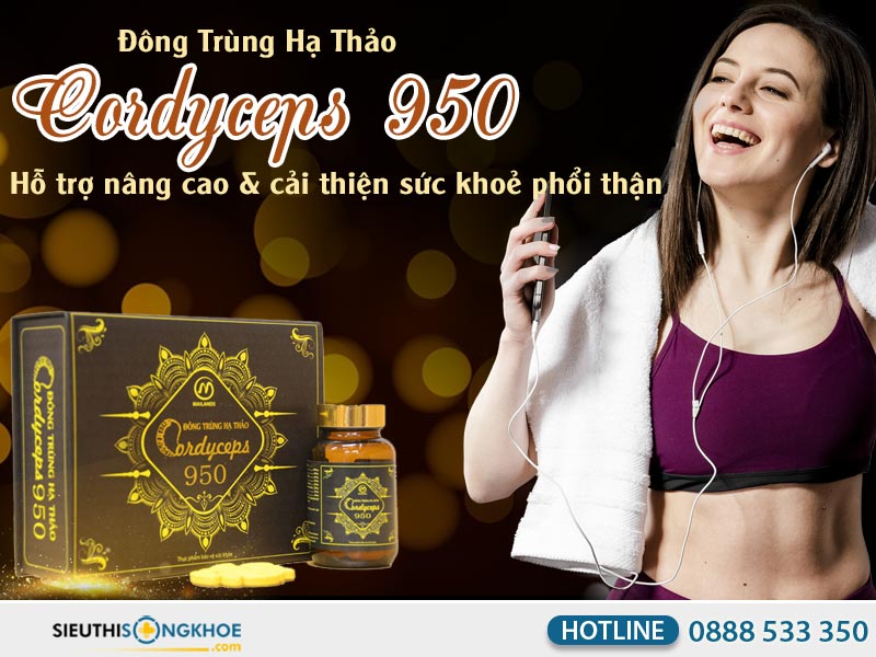 đông trùng hạ thảo cordyceps 950