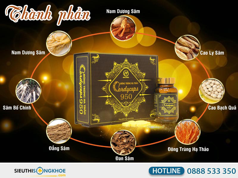 thành phần đông trùng hạ thảo cordyceps 950