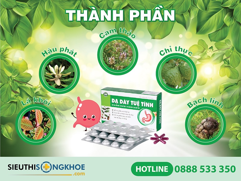 thành phần viên uống dạ dày tuệ tĩnh