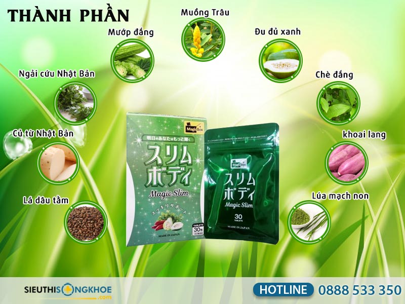 thành phần viên uống magic slim