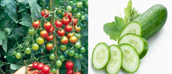 Những loại rau trái kỵ nhau tuyệt đối không nên ăn cùng nhau