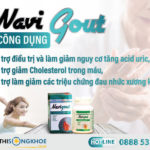 Navi Gout - Viên Uống Hỗ Trợ Giảm Tình Trạng Sưng Viêm Khớp & Gout