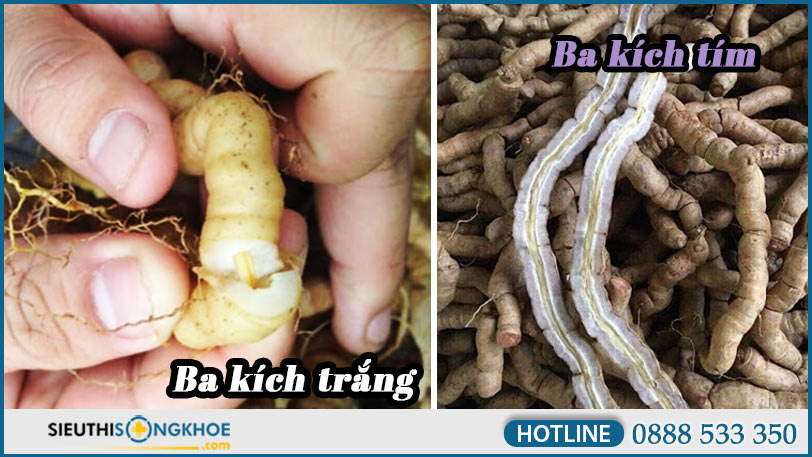 phan-biet-ba-kich-trang-va-ba-kich-tim