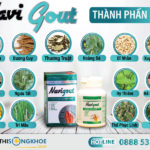 Navi Gout - Viên Uống Hỗ Trợ Giảm Tình Trạng Sưng Viêm Khớp & Gout