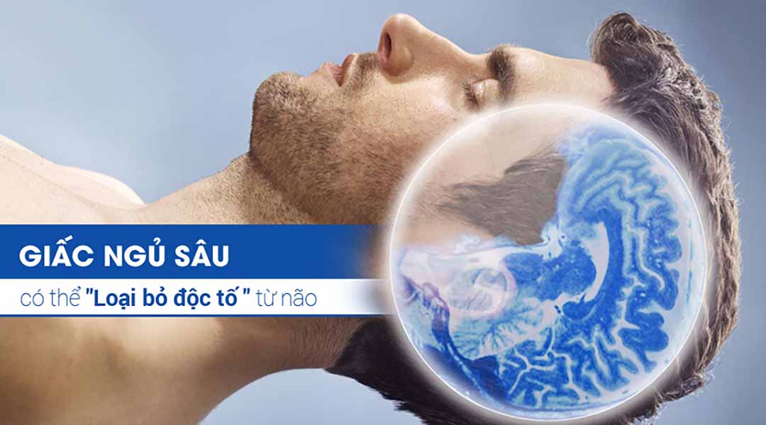 giac-ngu-sau-co-the-loai-bo-doc-to-tu-nao
