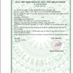 Nocarb Plus - Thạch Hỗ Trợ Giảm Cân, Giảm Béo An Toàn & Hiệu Quả