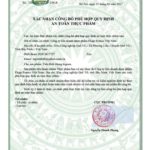 Tiền Đình Khang Kigona - Viên Uống Hỗ Trợ Điều Trị Rối Loạn Tiền Đình