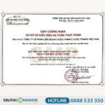 Tiền Đình Khang Kigona - Viên Uống Hỗ Trợ Điều Trị Rối Loạn Tiền Đình