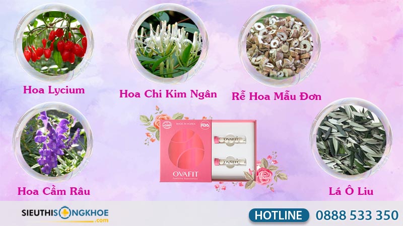 thành phần ovafit