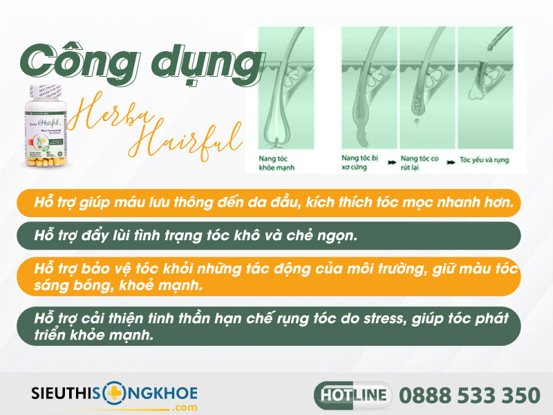 công dụng viên uống herba hairful