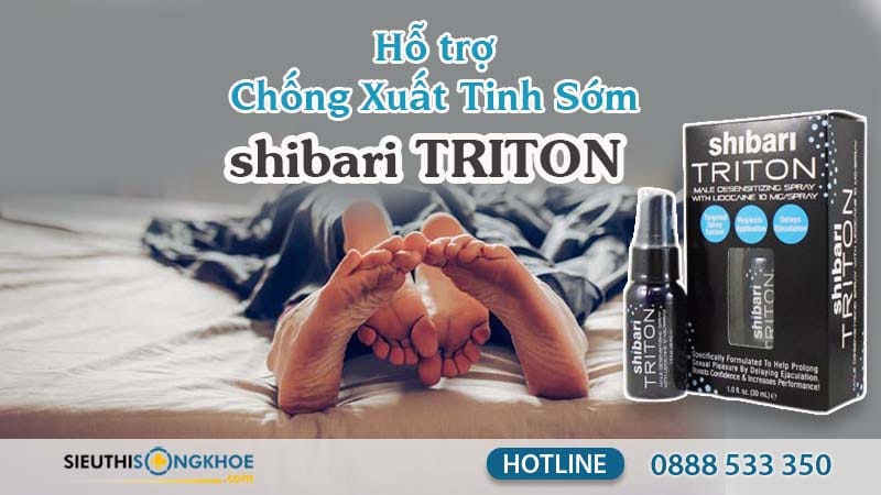 shibari triton thông tin