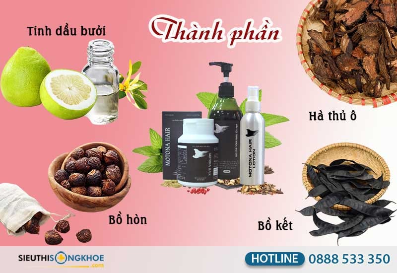 thành phần motona hair