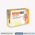 Viên Uống Nattocerebest - Hỗ Trợ Lưu Thông Máu Cho Tim & Não Bộ, Ngăn Ngừa Tai Biến