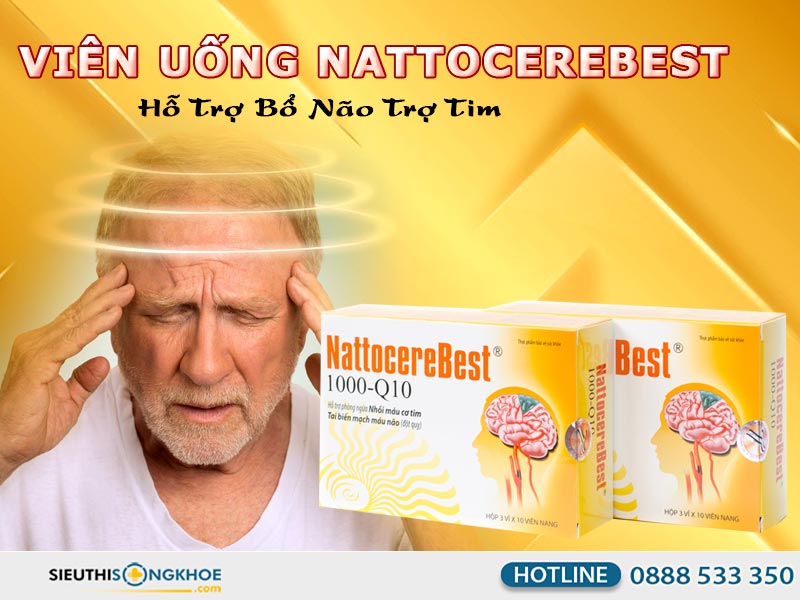viên uống bổ não trợ tim nattocerebest