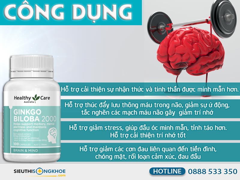 công dụng của ginkgo biloba 2000