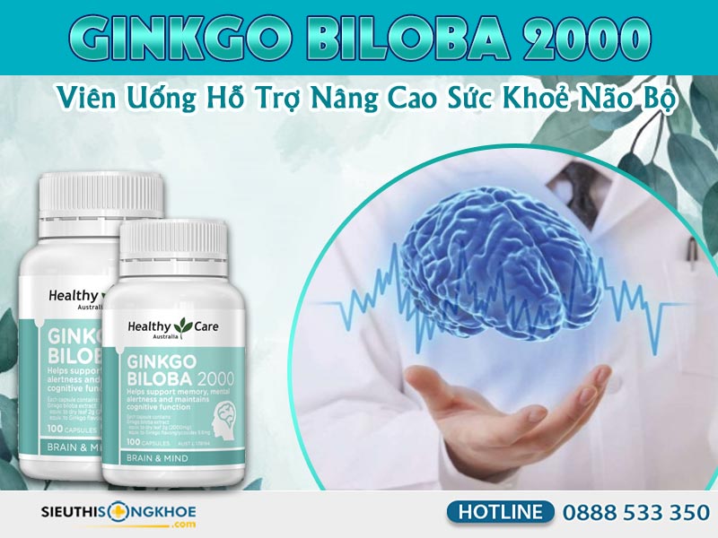 ginkgo biloba 2000