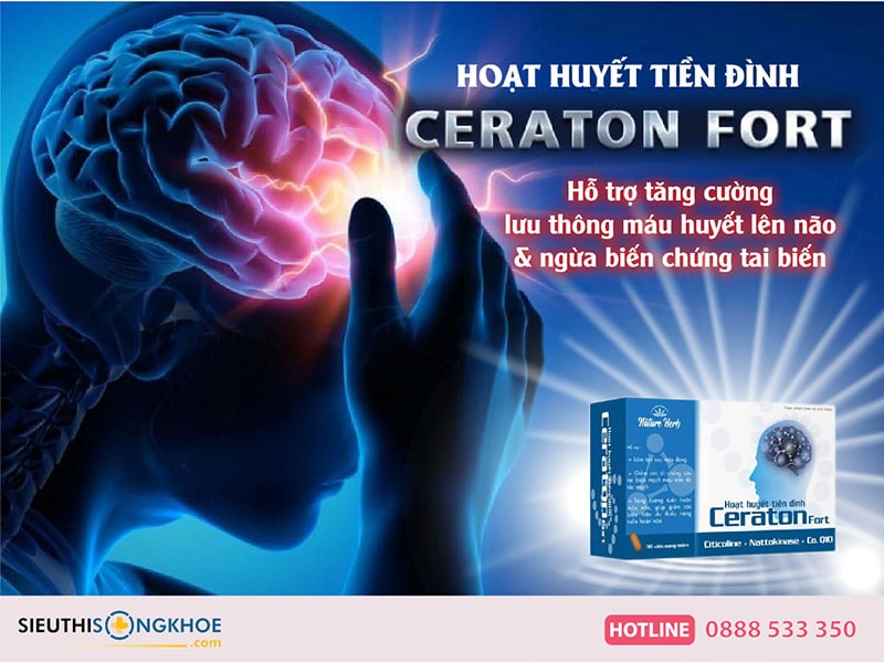 hoạt huyết tiền đình ceraton fort