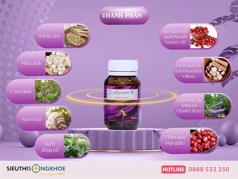 thành phần của ladycare v