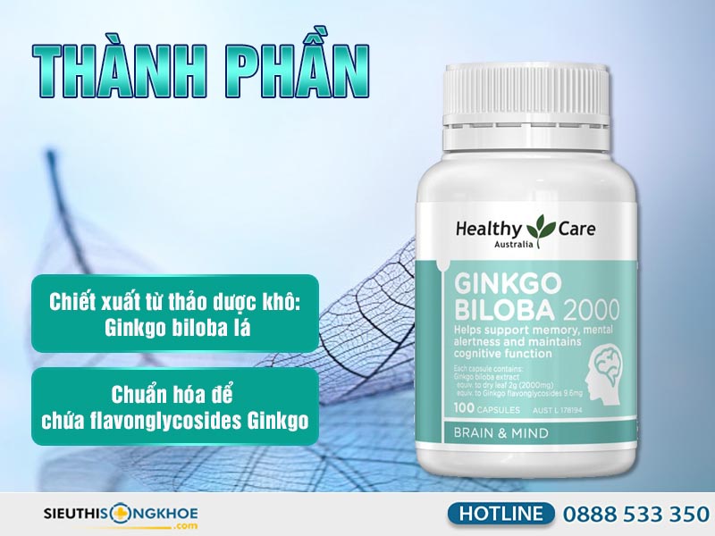 thành phần của ginkgo biloba 2000