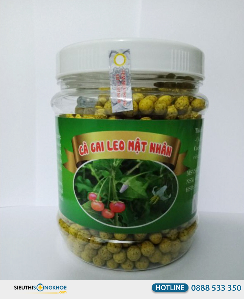 cà gai leo mật nhân