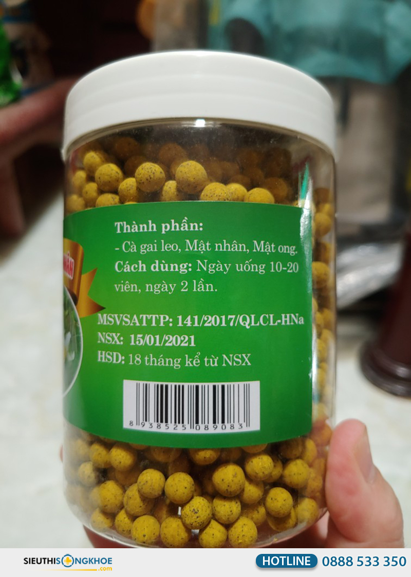 cà gai leo mật nhân có tốt không