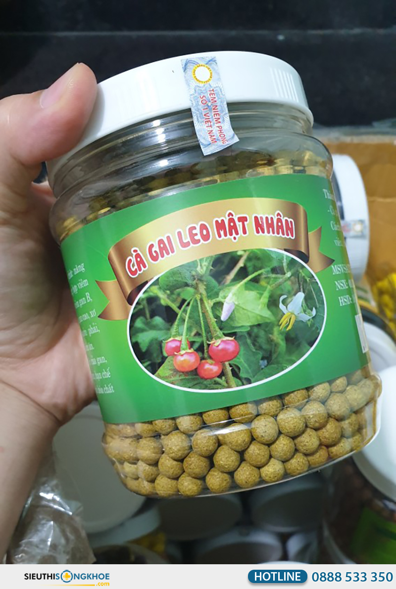 cà gai leo mật nhân giá bao nhiêu