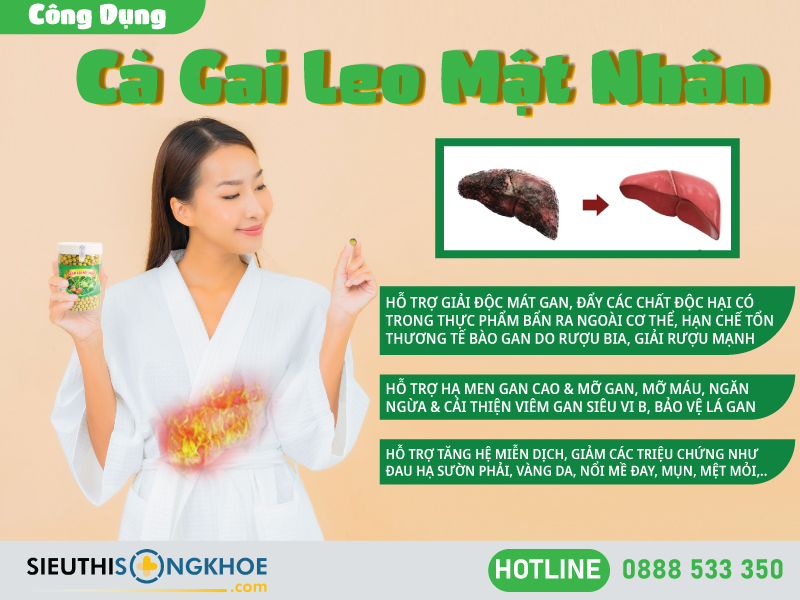 công dụng của cà gai leo mật nhân