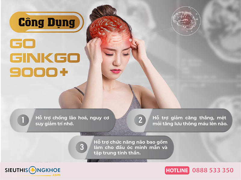 công dụng của go ginkgo 9000+