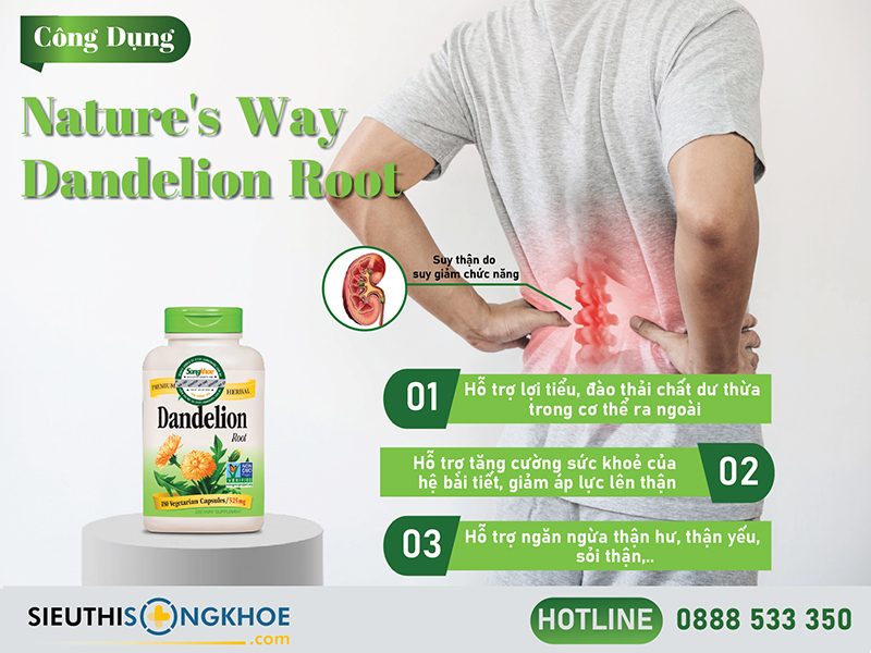 công dụng của nature's way dandelion root