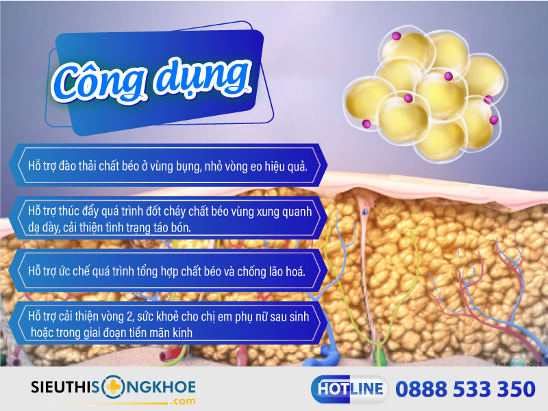công dụng của onaka pillbox